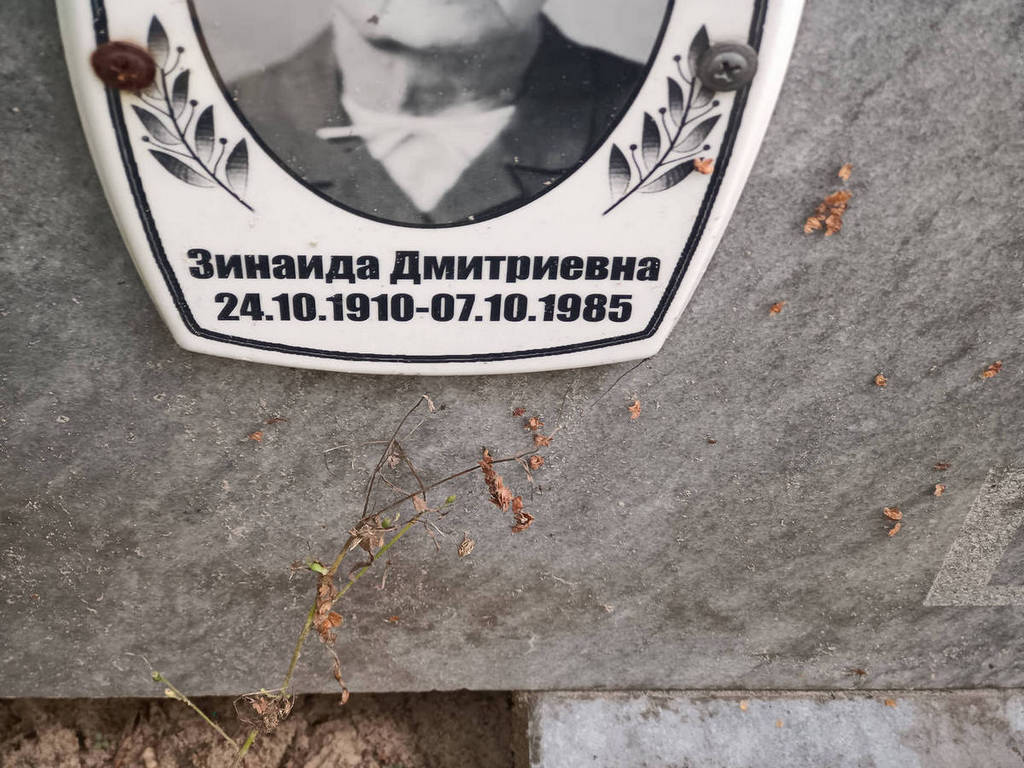 Богачева Зинаида Дмитриевна