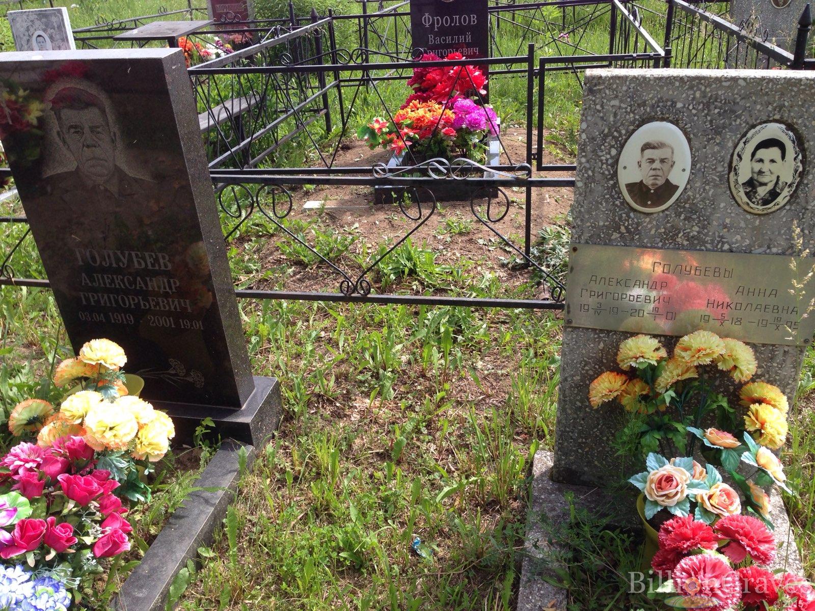 Голубева Анна Николаевна