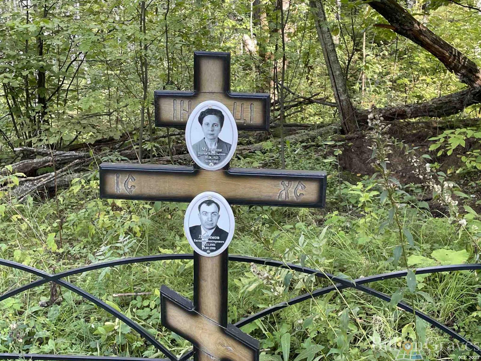 Мульгина Фотия Васильевна