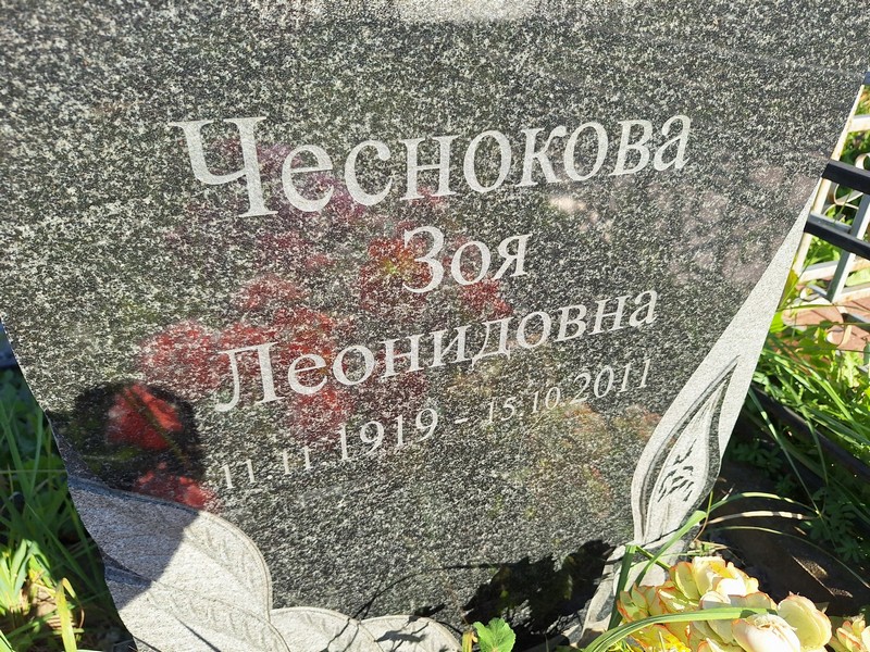 Чеснокова
