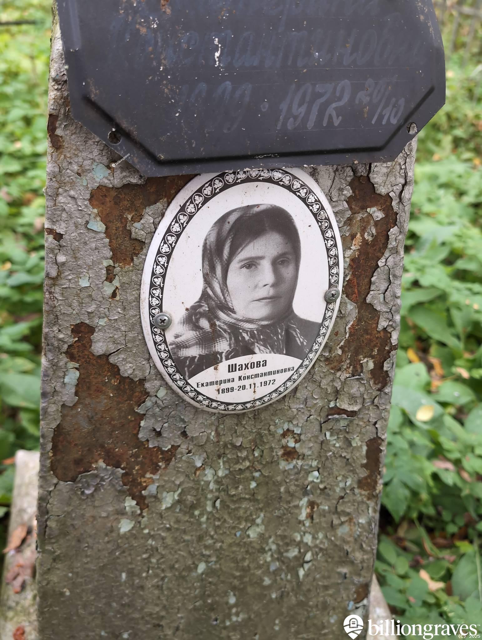 Шахова Екатерина Константиновна