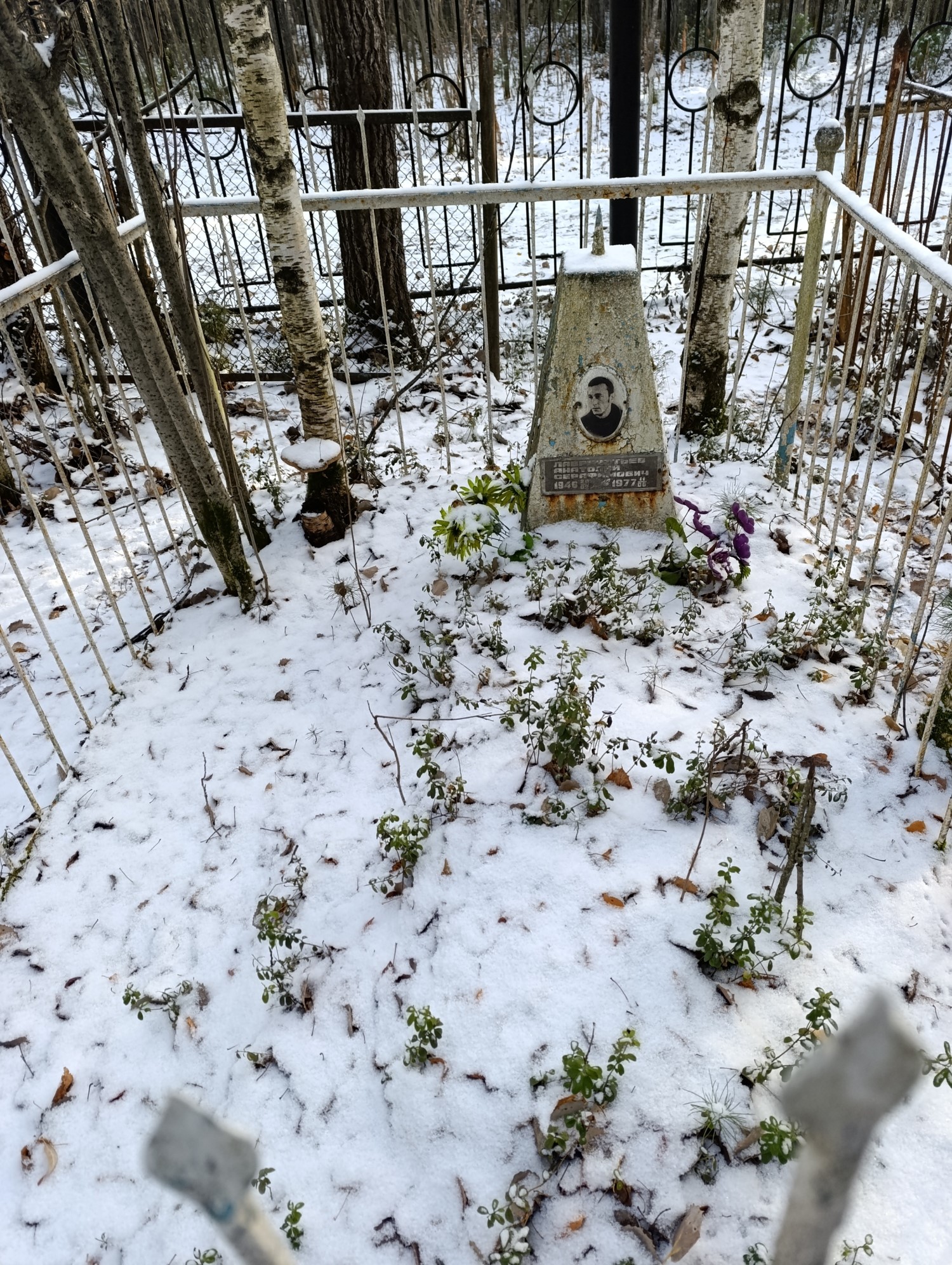 Лаврентьев Анатолий Серафимович