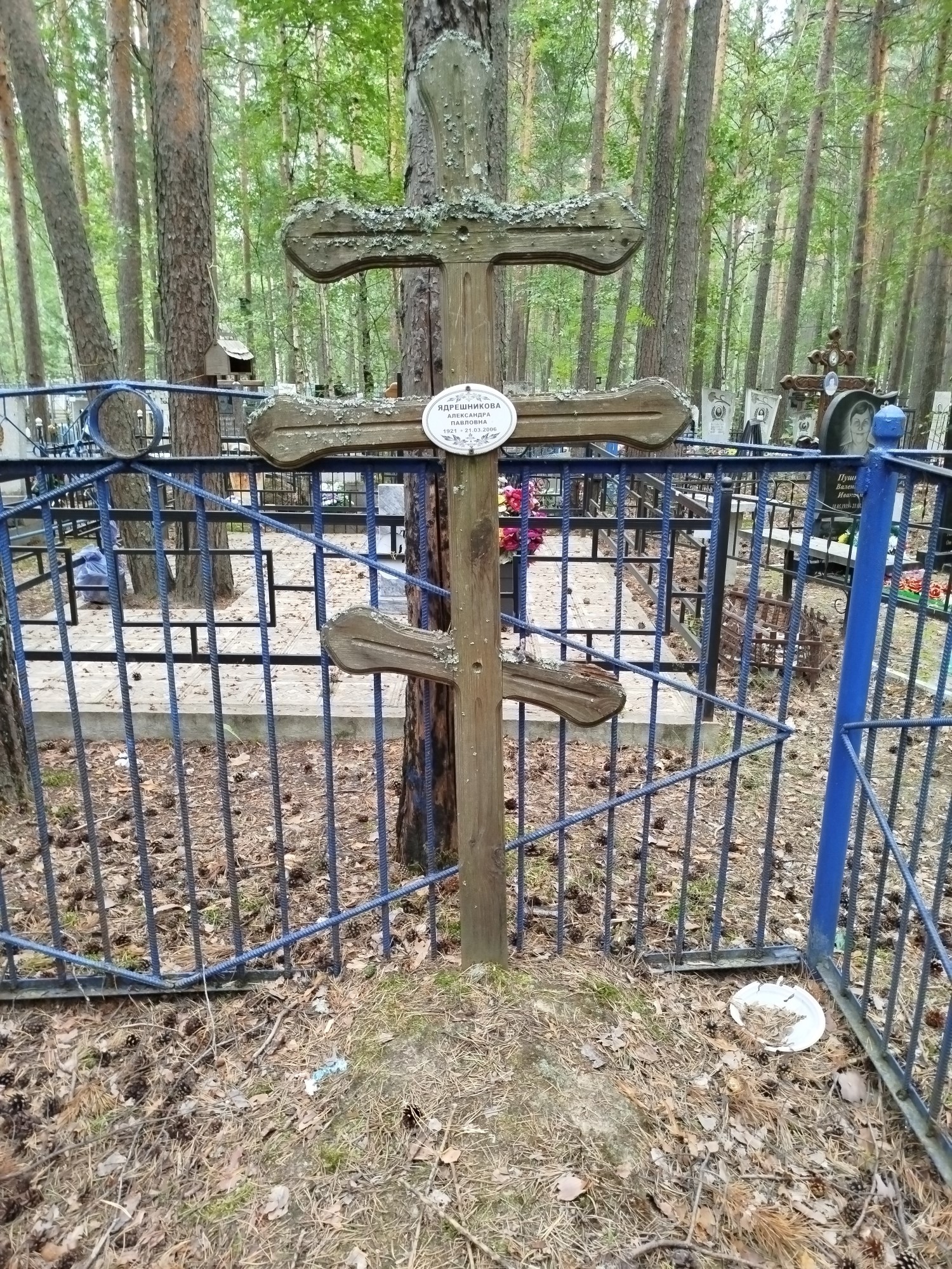 Ядрешникова Александра Павловна