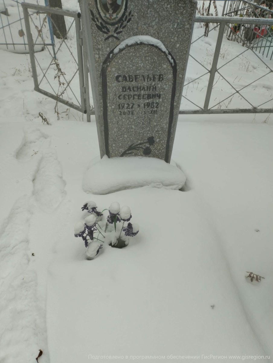 Савельев Василий Сергеевич