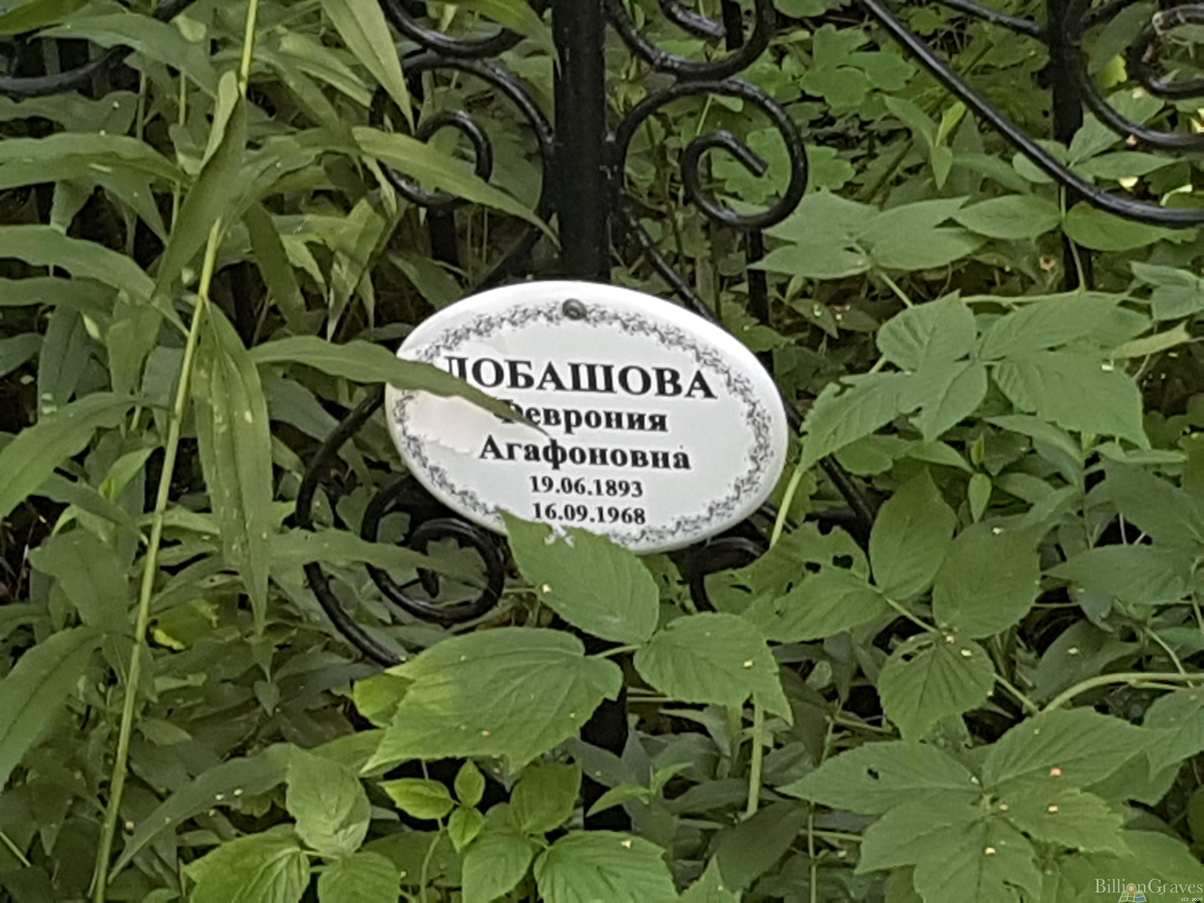 Лобашова Феврония Агафоновна