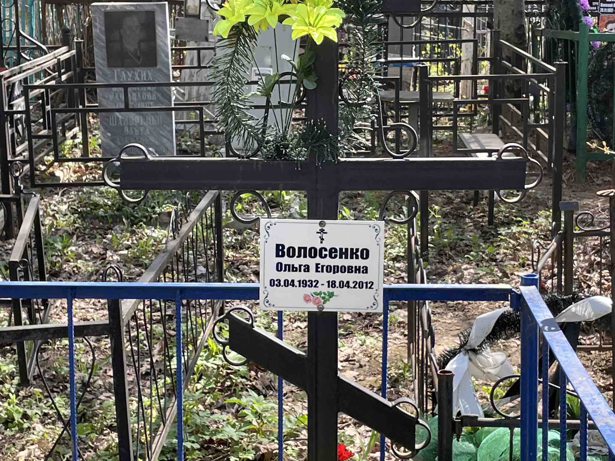 Волосенко Ольга Егоровна