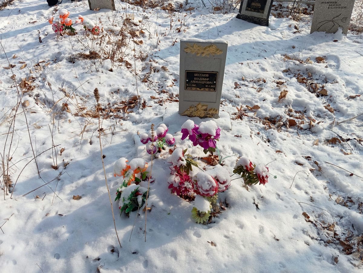 Шестаков Владимир Александрович