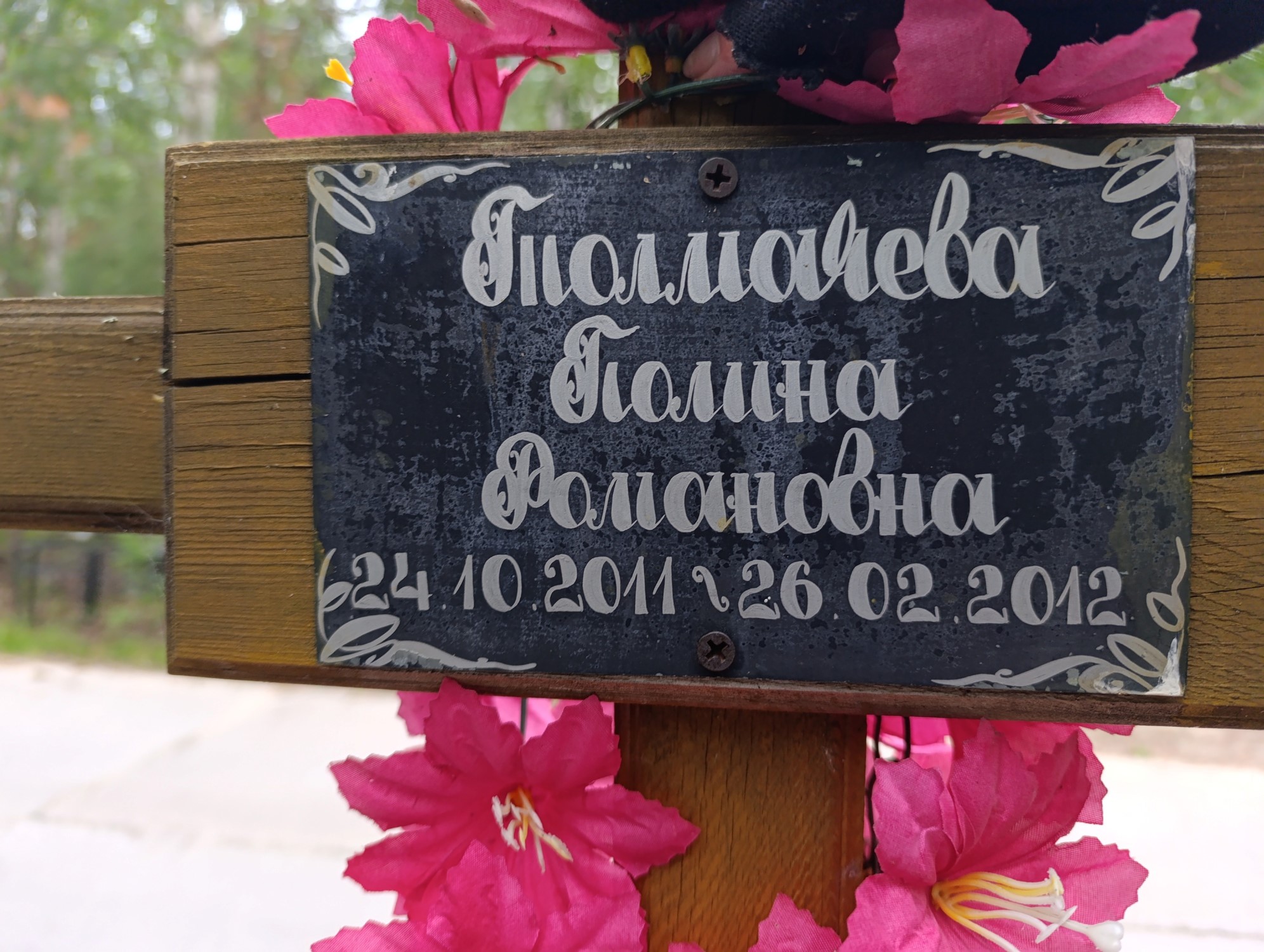 Толмачева Полина Романовна