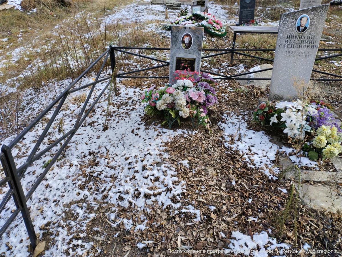 Никитина Дэля Викторовна