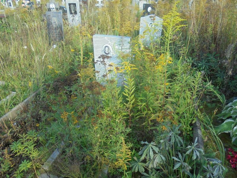 Шадрина Капитолина Васильевна