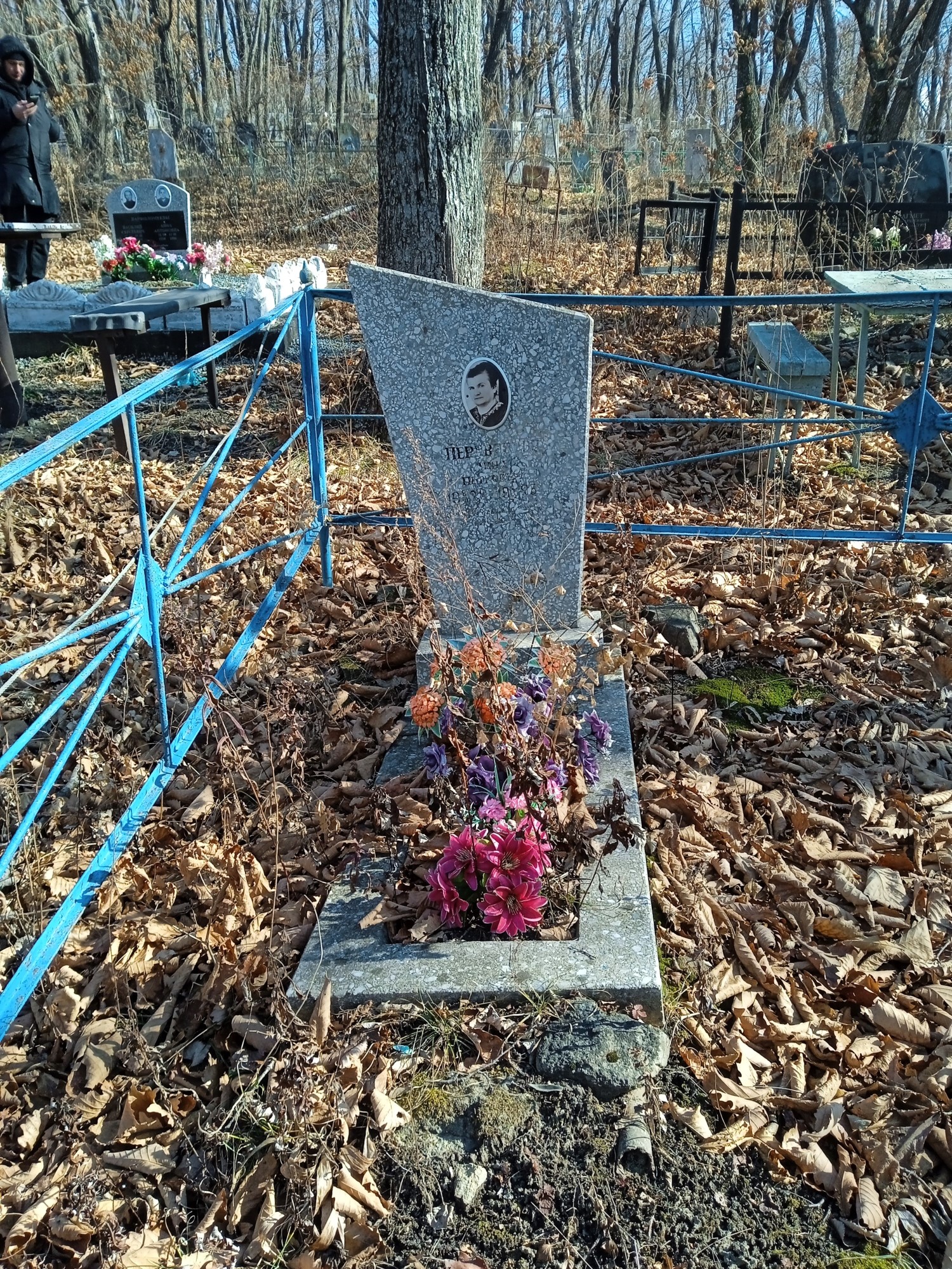 Перевозова Анна Петровна