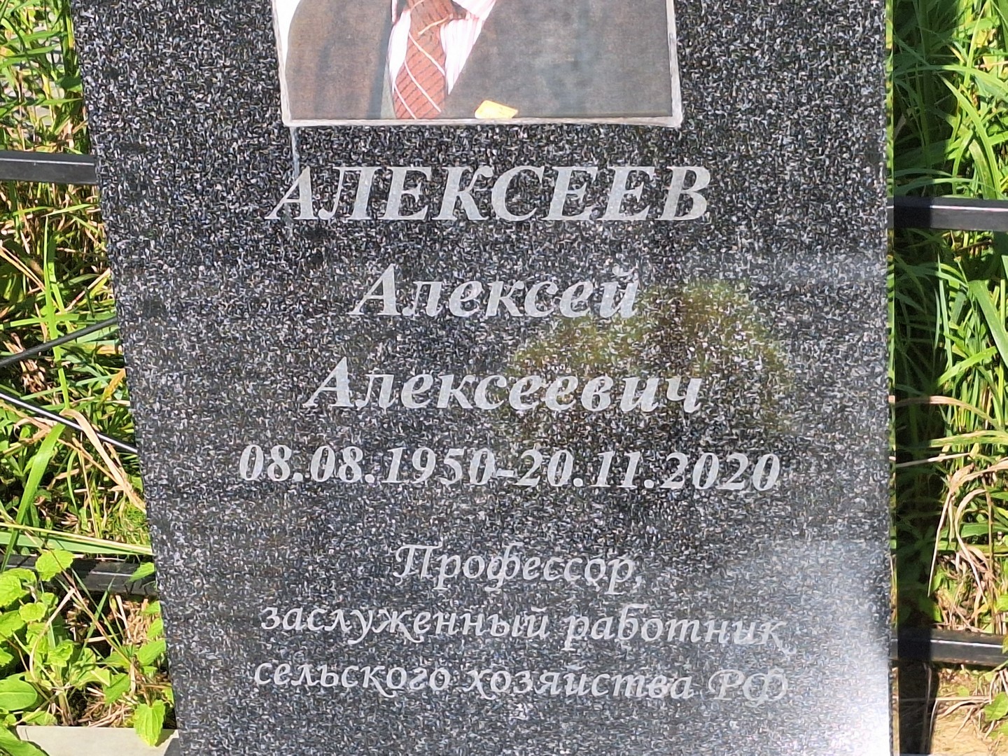 Алексеев