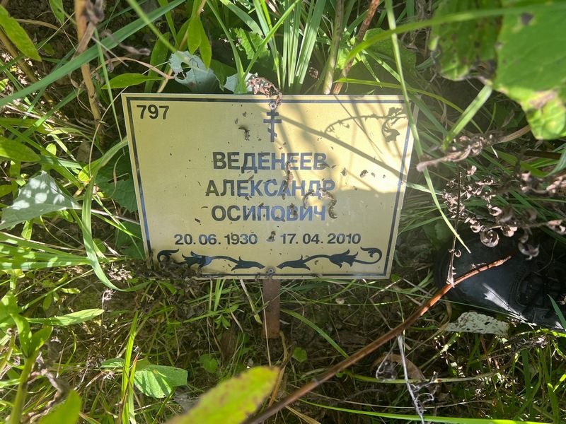 Веденеев