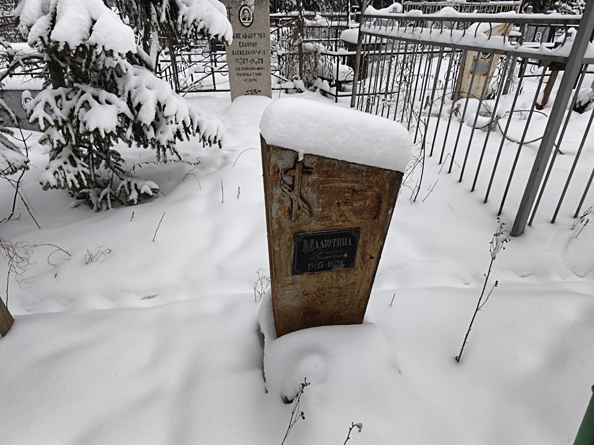 Малютина Пелагея Ильинична