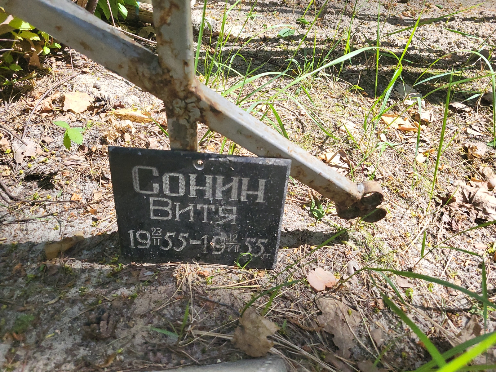 Сонин Витя