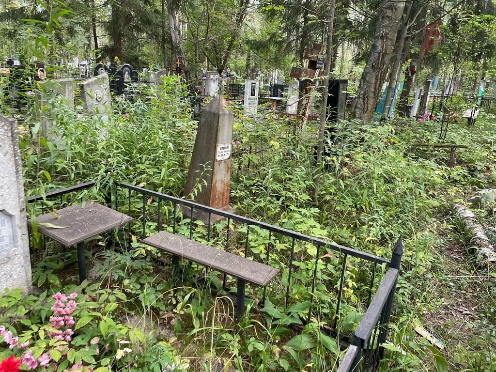 Ольнева Татьяна Николаевна
