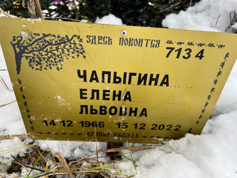 Чапыгина