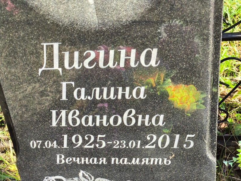 Дигина