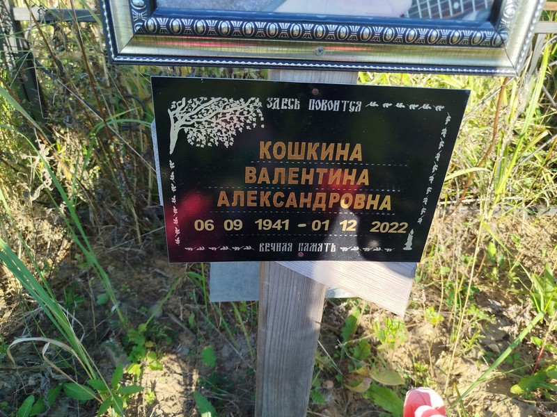 Кошкина