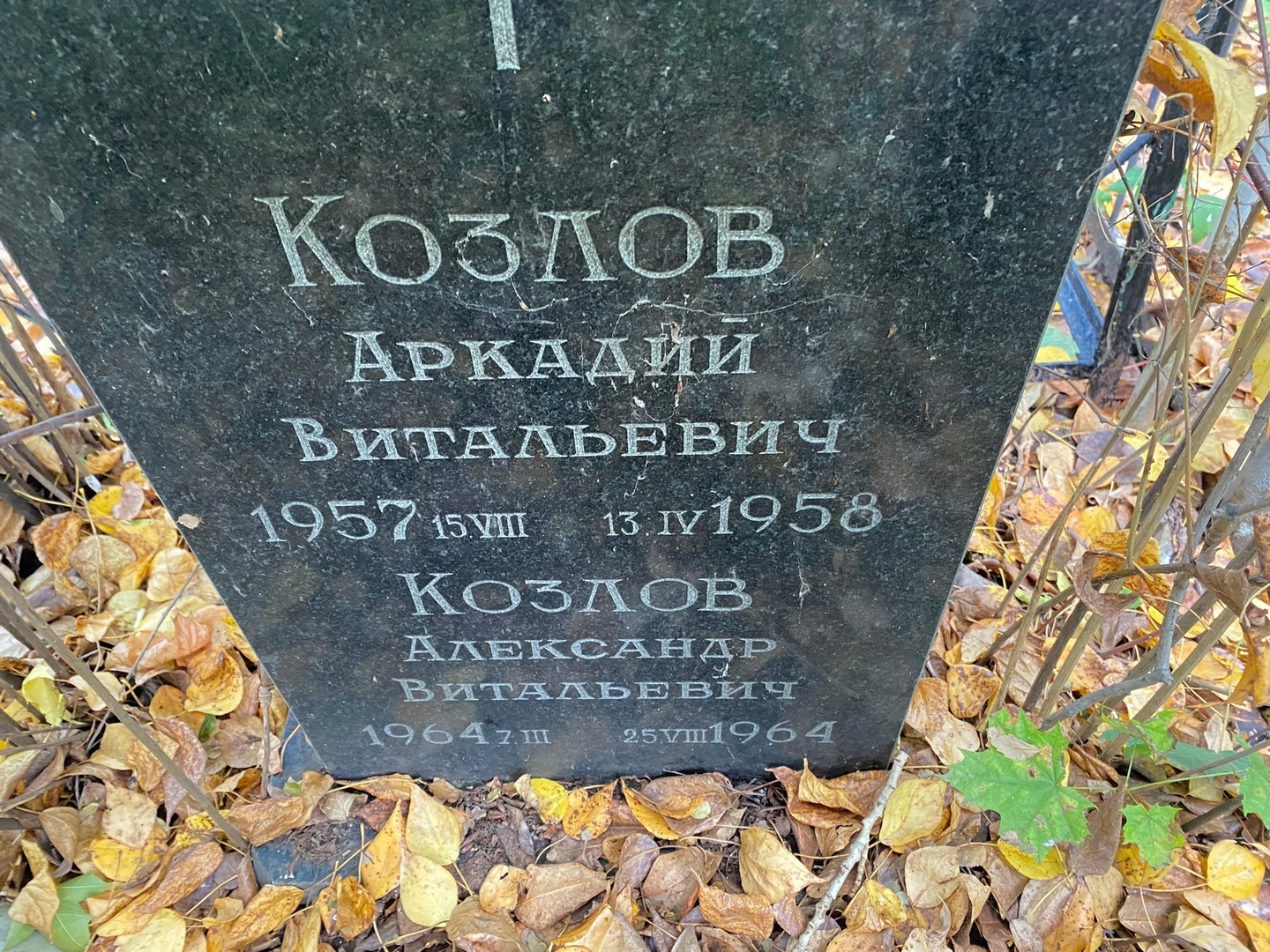 Козлов