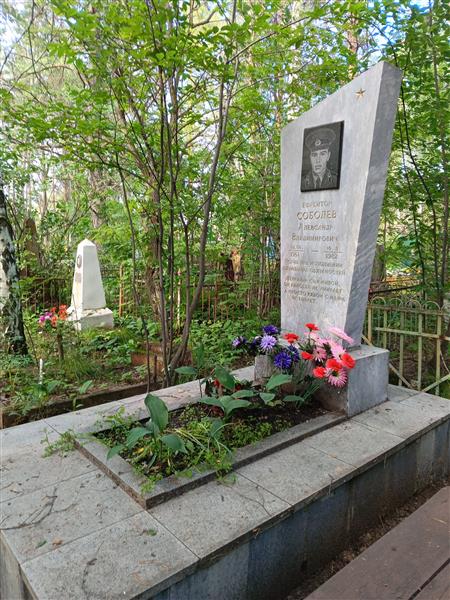 Соболев Александр Владимирович