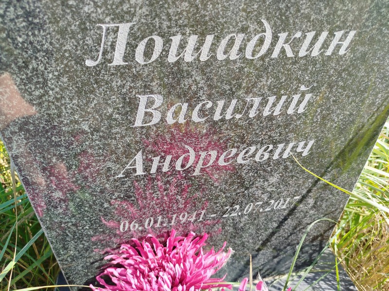 Лошадкин