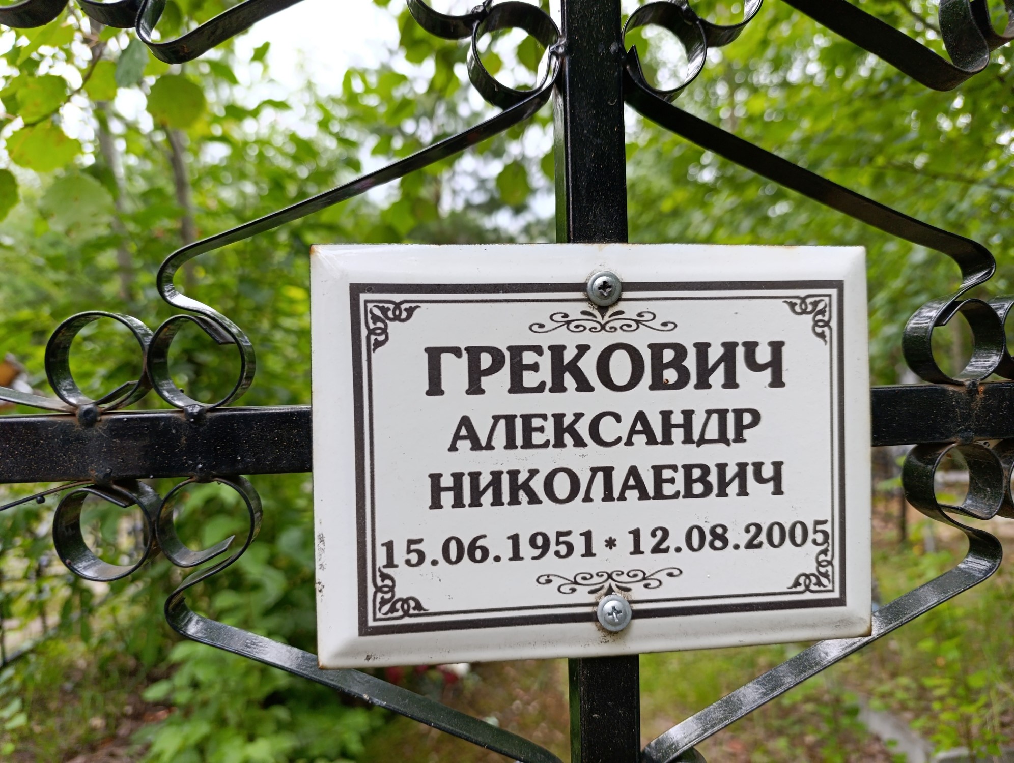 Грекович Александр Николаевич
