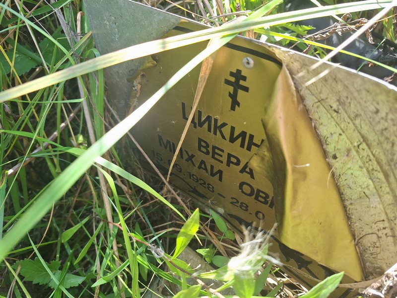 Цикина