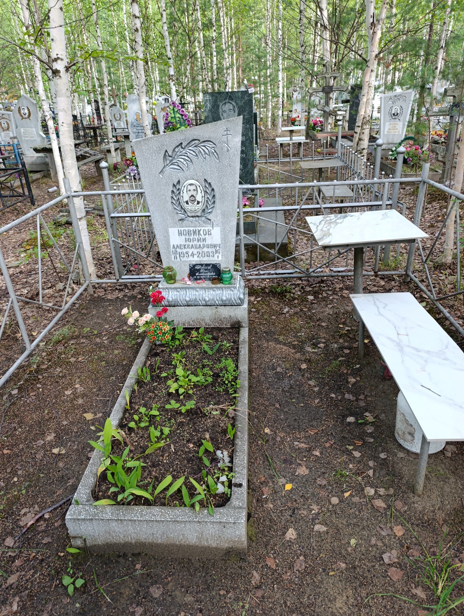 Новиков Юрий Александрович