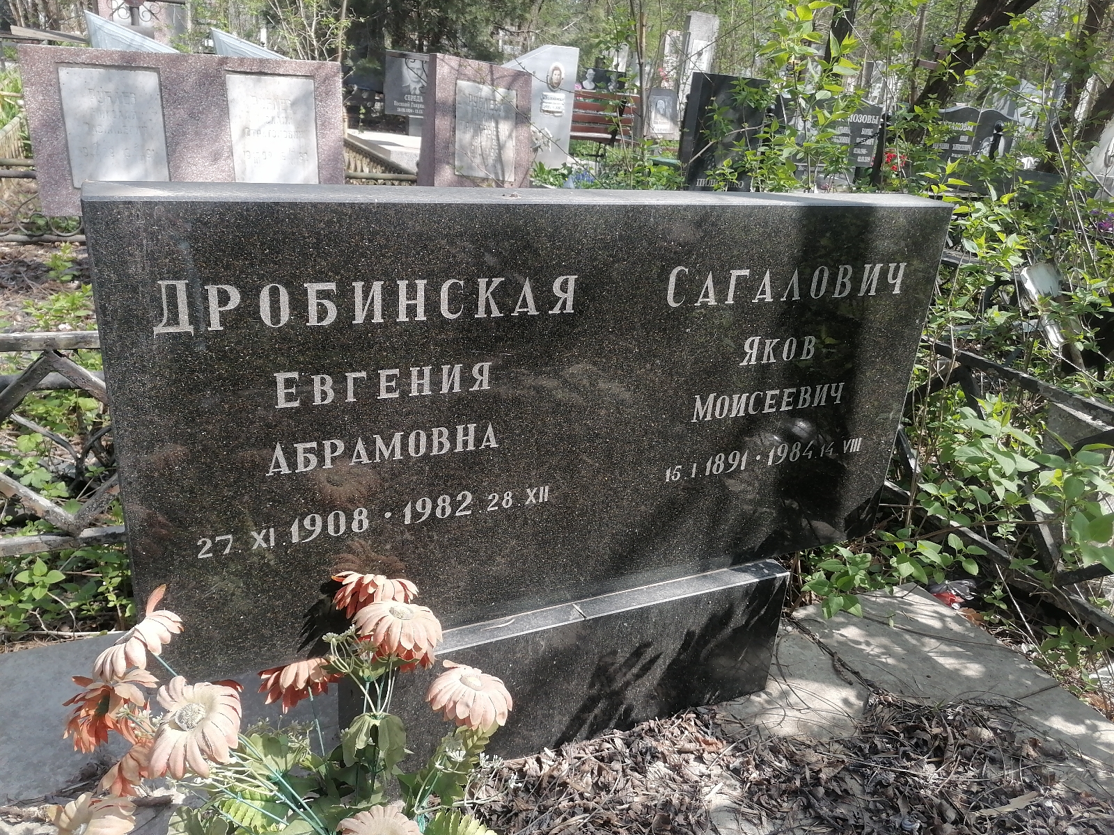 Дробинская Евгения Абрамовна