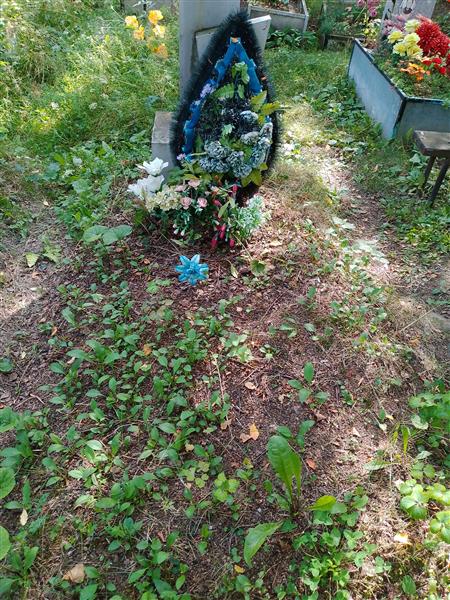 Чумичев Николай Дмитриевич
