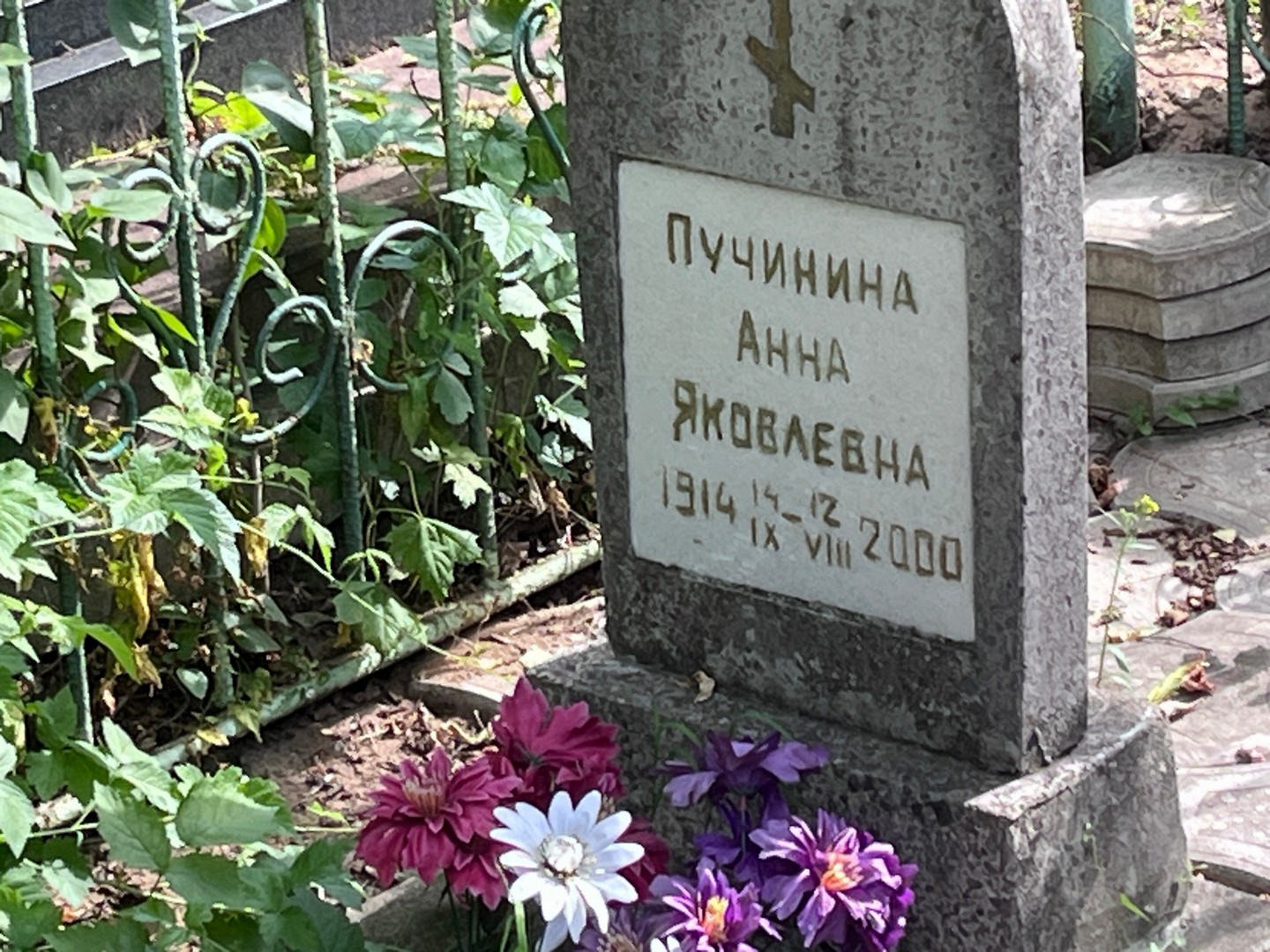 Пучинина