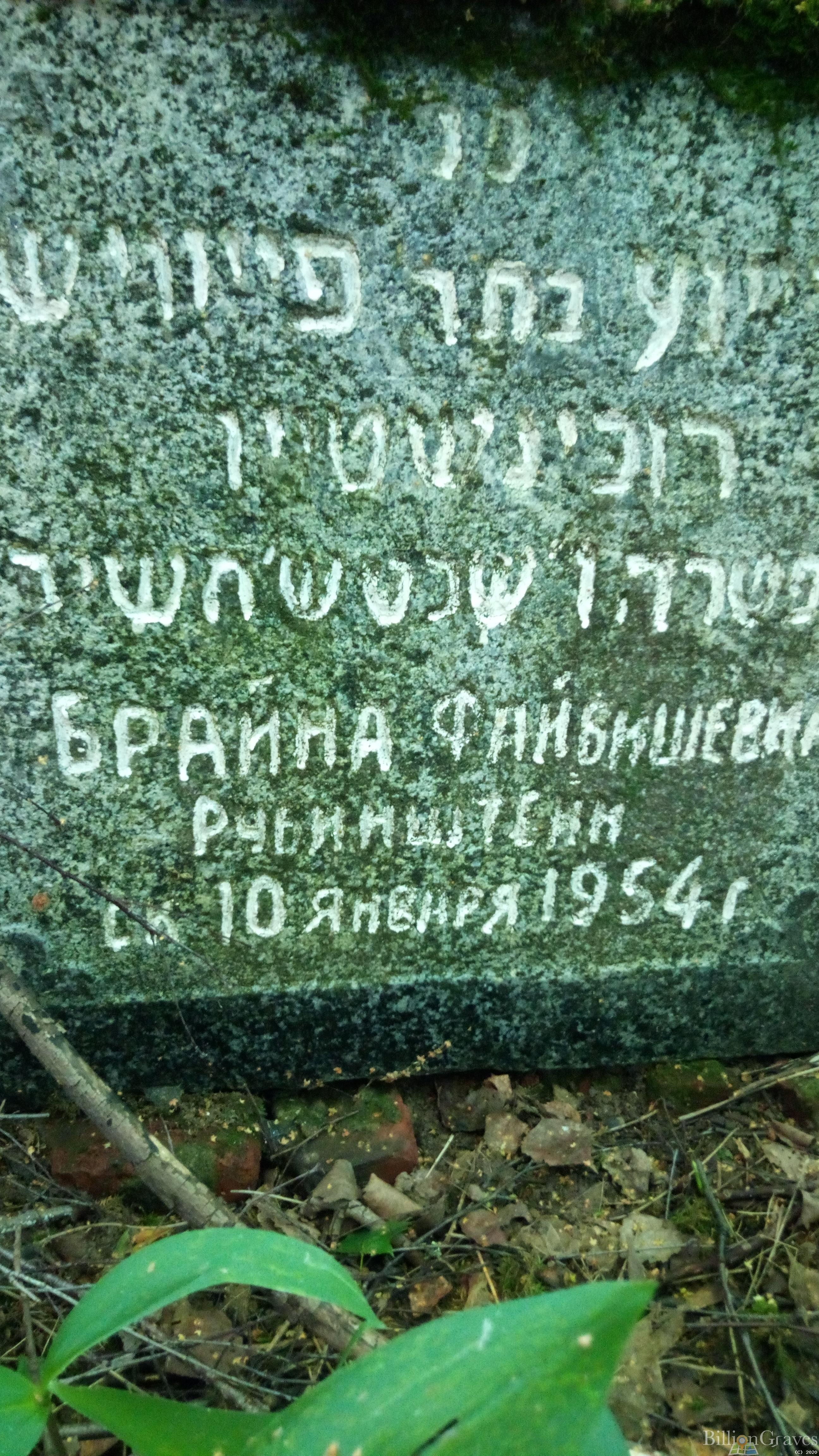 Рубинштейн Брайна Файбишевна