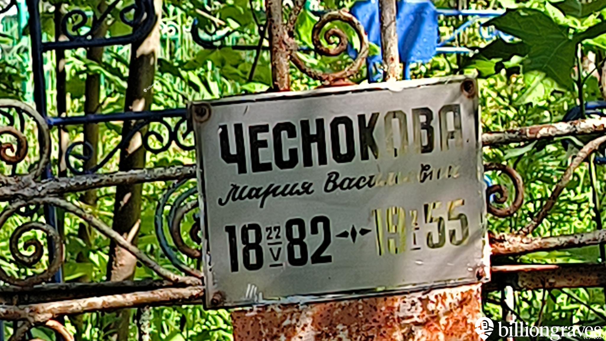 Чеснокова Мария Васильевна