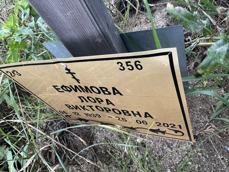 Лора Ефимова Викторовна