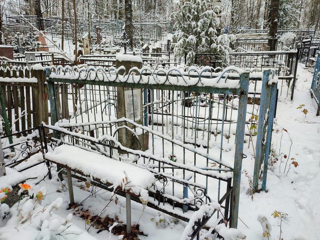 Бирюзов Василий Степанович