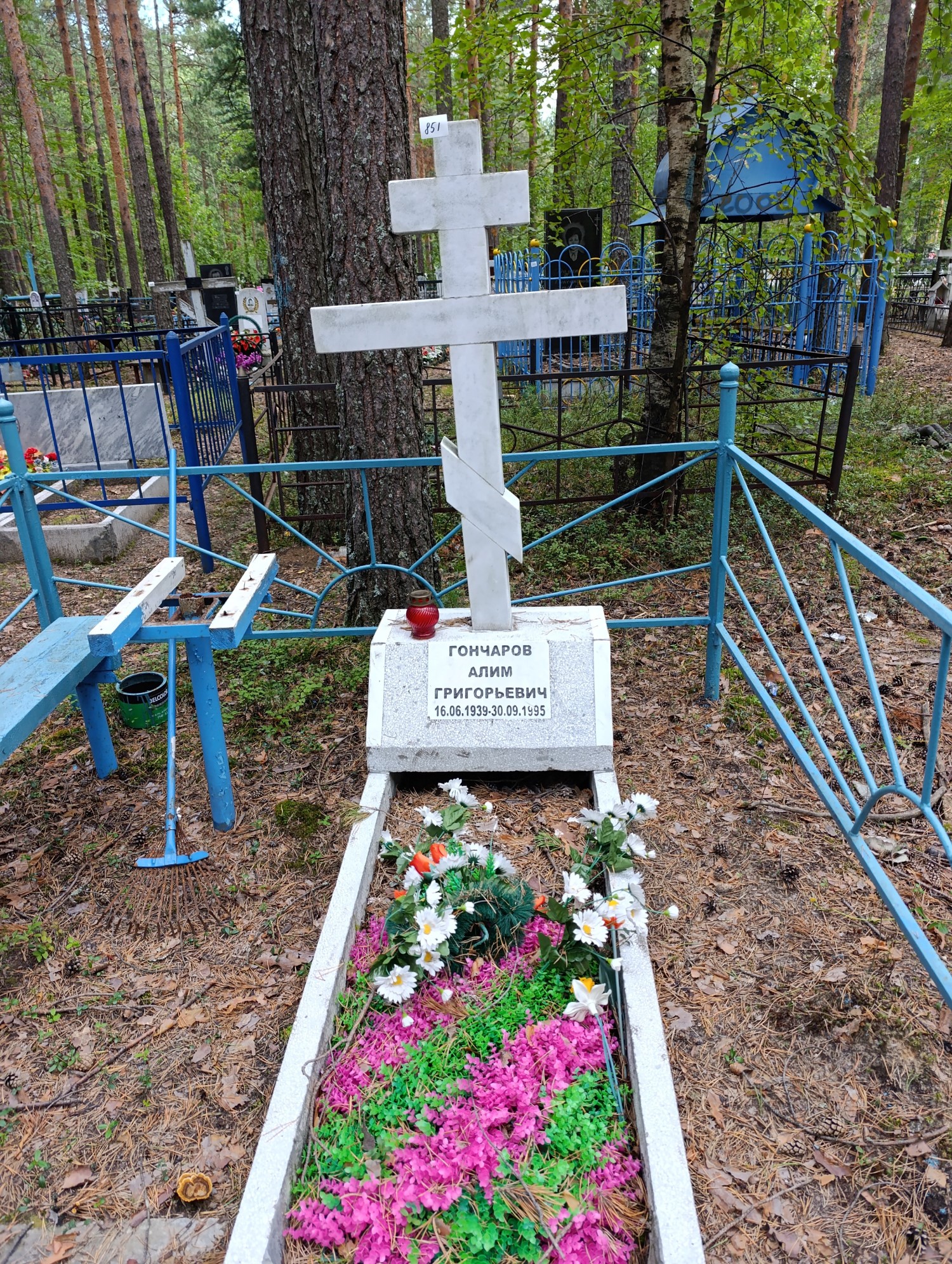 Гончаров Алим Григорьевич