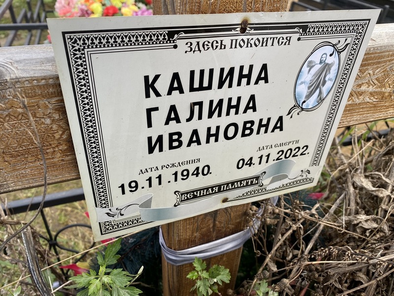 Кашина