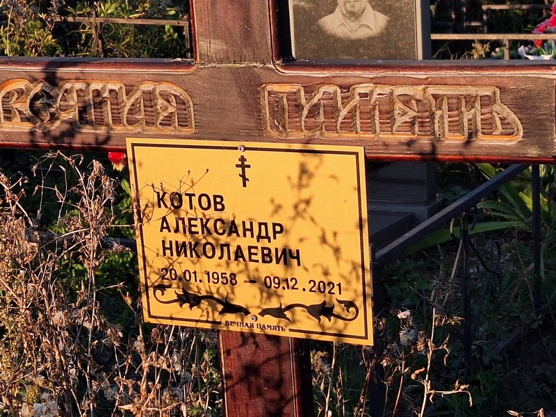 Котов