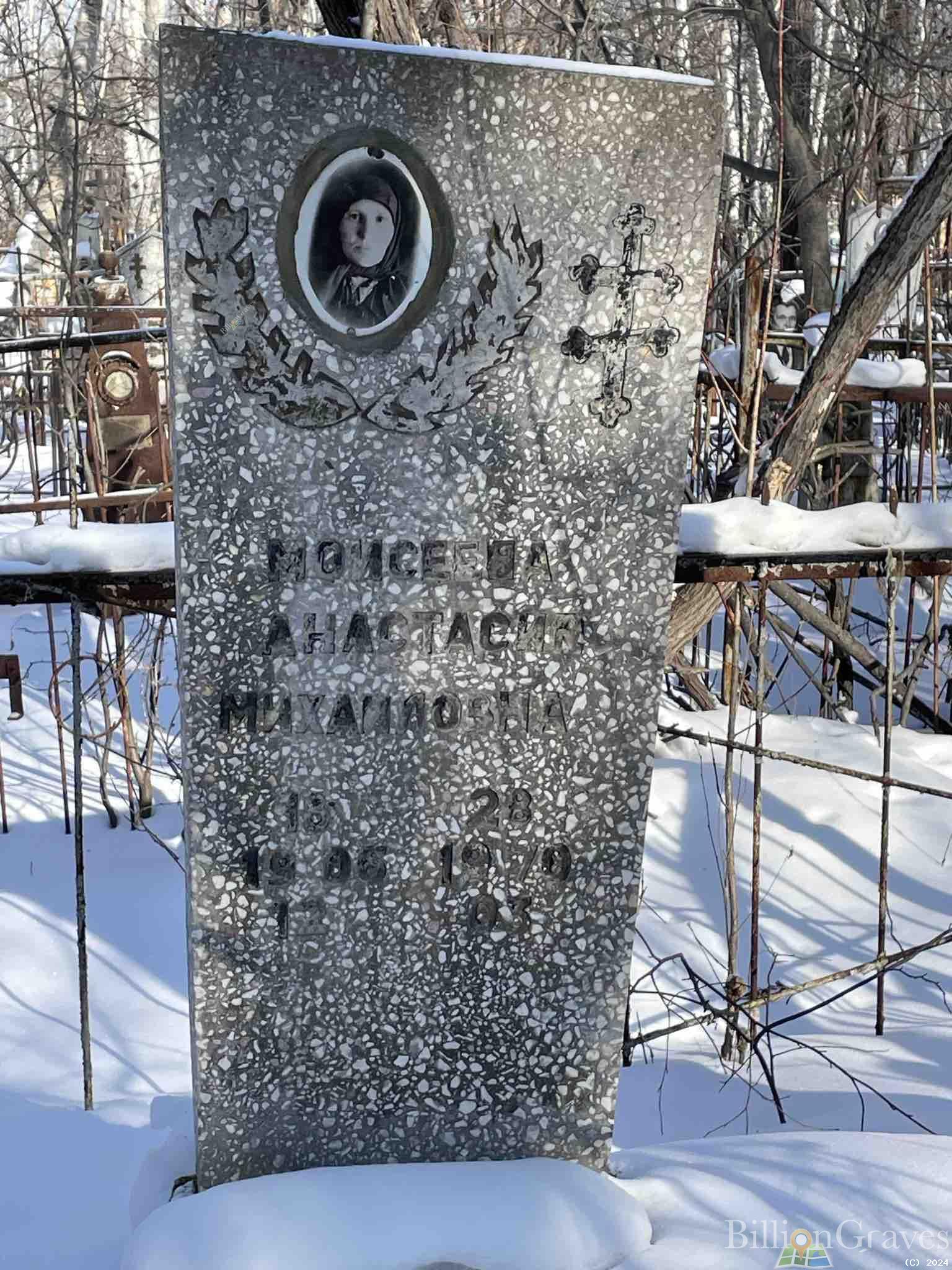 Моисеева Анастасия Михайловна