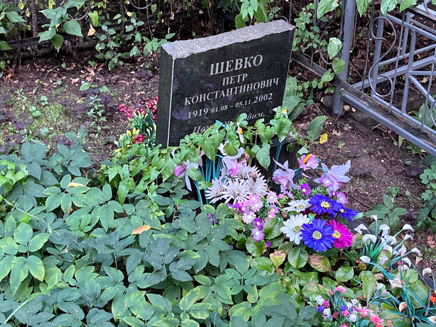 Шевко