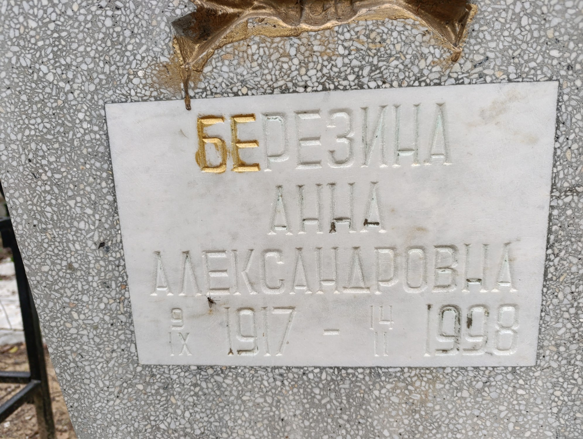 Березина Анна Александровна