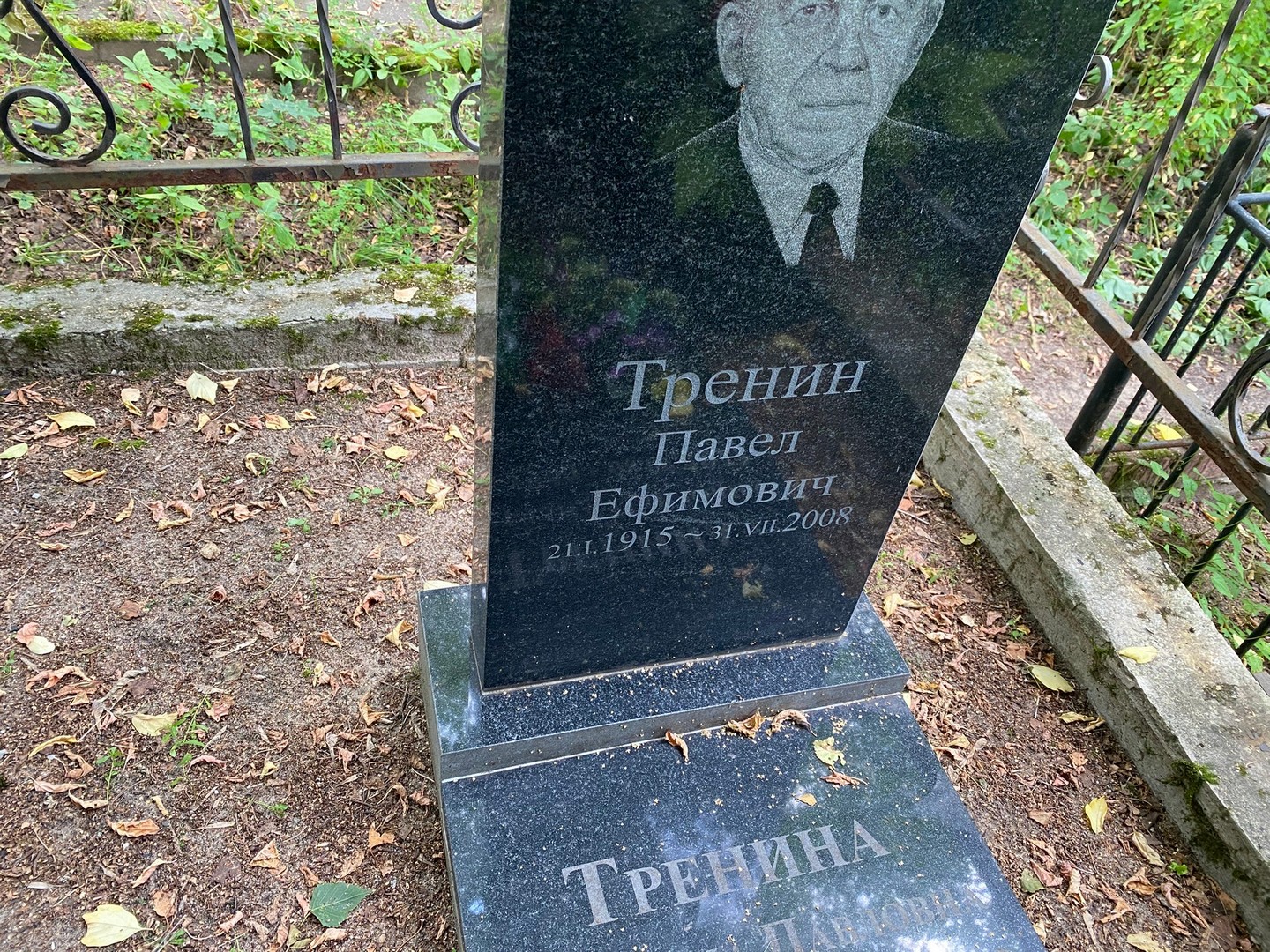 Тренин