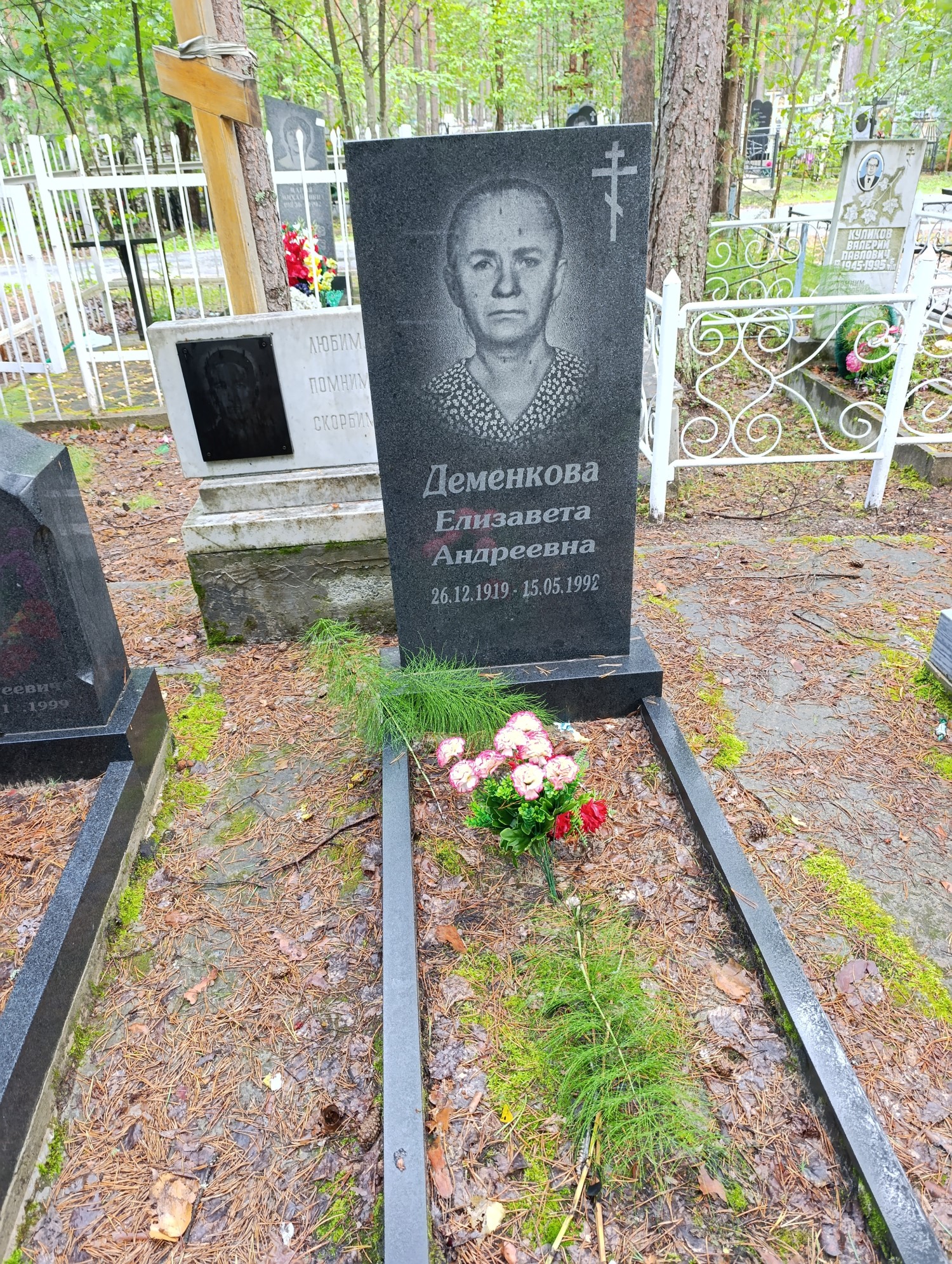 Деменкова Елизавета Андреевна