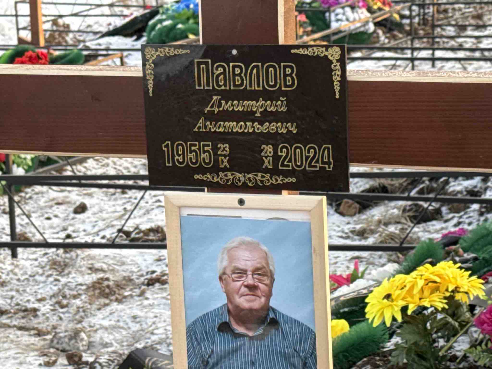 Павлов Дмитрий Анатольевич