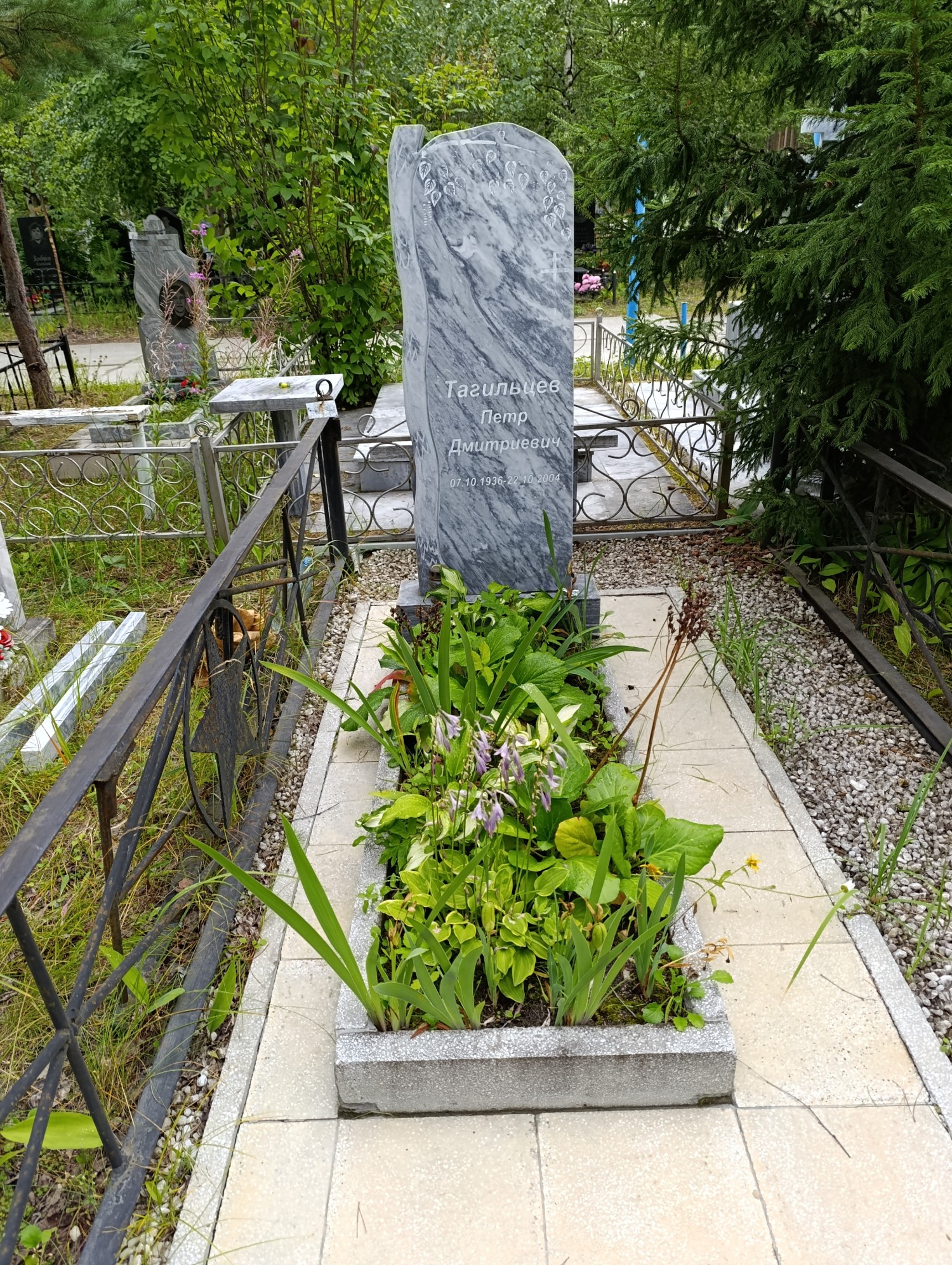 Тагильцев Петр Дмитриевич