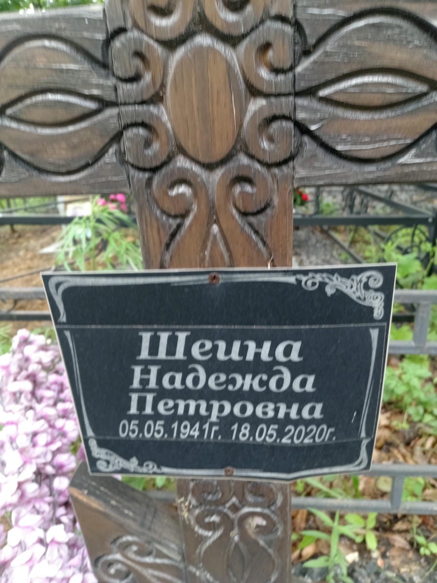 Шеина Надежда Петровна