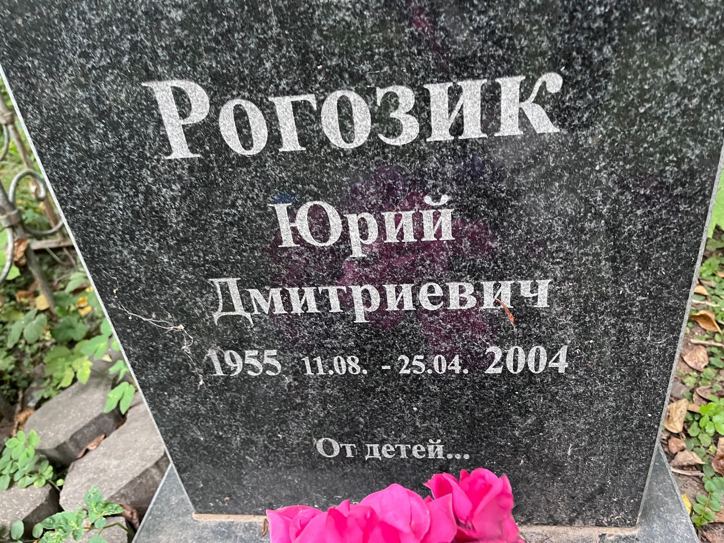 Рогозик