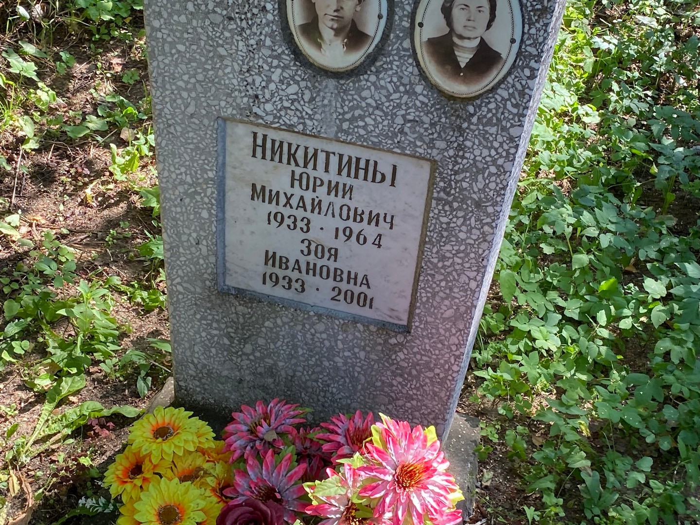 Никитин