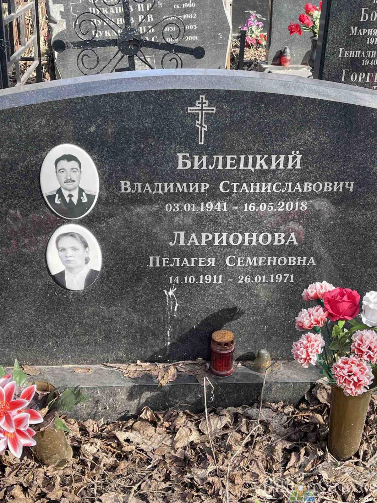 Билецкий Владимир Станиславович